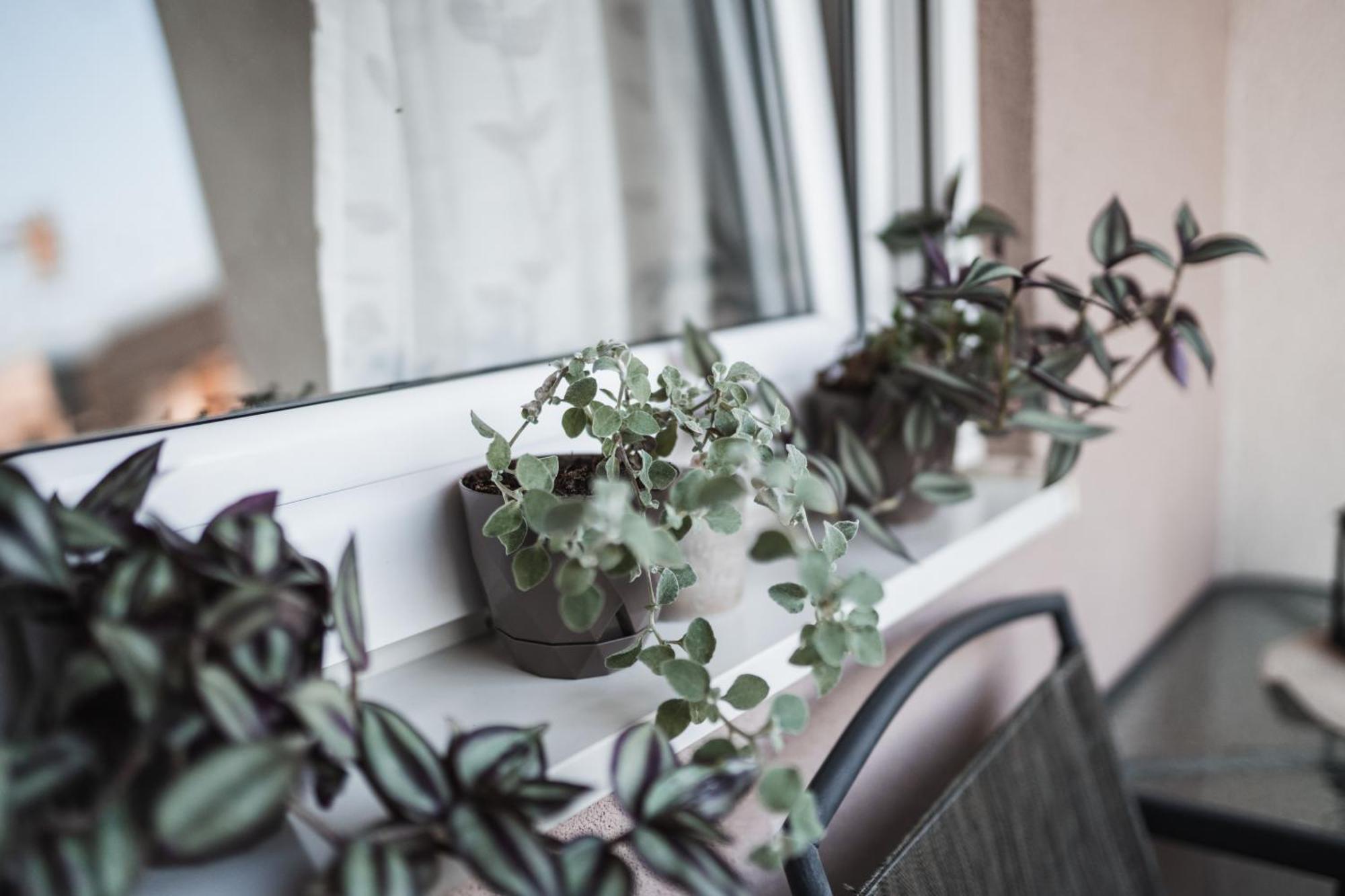 Apartman Centar Doboj Luaran gambar